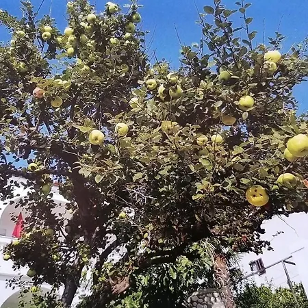 Ferienwohnung In Mit Terrasse Und Garten Apartamento *